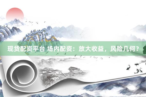 现货配资平台 场内配资：放大收益，风险几何？