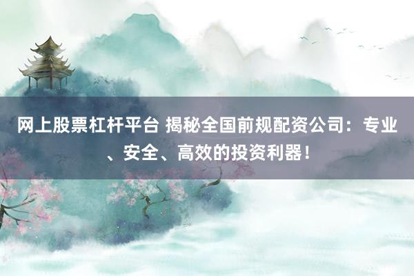 网上股票杠杆平台 揭秘全国前规配资公司：专业、安全、高效的投资利器！