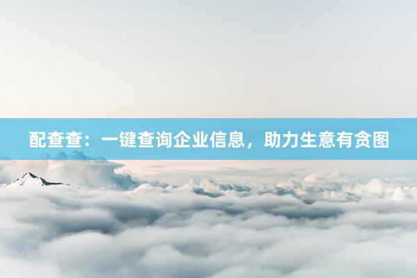 配查查：一键查询企业信息，助力生意有贪图
